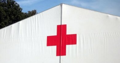 17. februara 1863. osnovan Međunarodni komitet za pomoć ranjenima (Crveni krst)